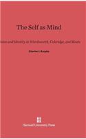 Self as Mind