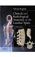 Clinical and Radiological Anatomy of the Lumbar Spine