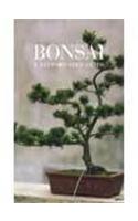 Bonsai A Step By Step Guide