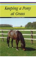 Keeping a Pony at Grass