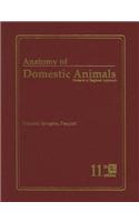 Anatomy of Domestic Animals: Systemic and Regional Approach