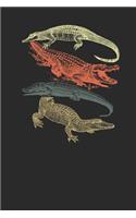 Crocodile Retro