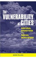 The Vulnerability of Cities