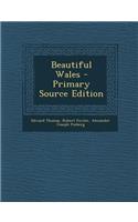 Beautiful Wales - Primary Source Edition