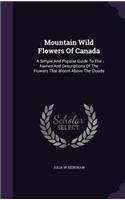 Mountain Wild Flowers Of Canada