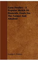 Farm Poultry - A Popular Sketch Of Domestic Fowls For The Farmer And Amateur