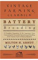 Battery Brooding - A Complete Exposition of the Important Facts Concerning the Successful Operation and Handling of the Various Types of Battery Brooders