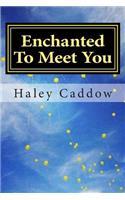 Enchanted To Meet You