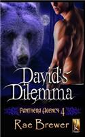 David's Dilemma