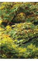 Eastern Maple Tree Grid Notebook