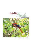 Costa Rica Birds