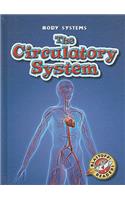 The Circulatory System