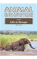 Animal Life in Groups