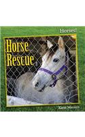 Horse Rescue
