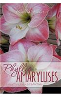 Phyllis' Amaryllises: (English)