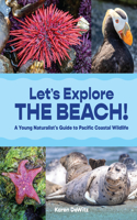 Let's Explore the Beach!