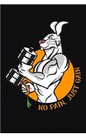 No Pain Just Gain Rabbit Carrot Fitness Vegetables