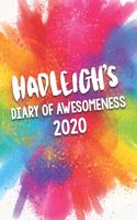 Hadleigh's Diary of Awesomeness 2020