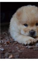 Fluffy Chow Chow Puppy Dog Journal: Take Notes, Write Down Memories in this 150 Page Lined Journa