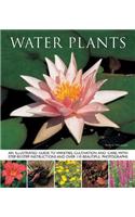 Water Plants