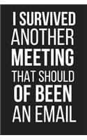 I Survived Another Meeting That Should of Been an Email