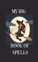 My Big Book of Spells