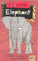 Solo Wildlife: Elephant