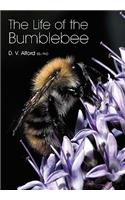 The Life of the bumblebee