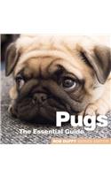 Pugs