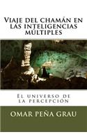 Viaje del chaman en las inteligencias multiples