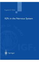 Igfs in the Nervous System