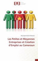 Les Petites et Moyennes Entreprises et Création d'Emploi au Cameroun