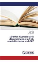 Stromal Myofibrolasts