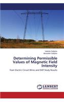 Determining Permissible Values of Magnetic Field Intensity