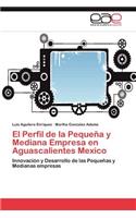 El Perfil de la Pequeña y Mediana Empresa en Aguascalientes Mexico
