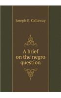 A Brief on the Negro Question