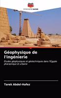 Géophysique de l'ingénierie