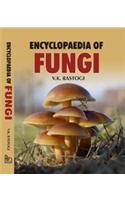 Encyclopaedia Of Fungi