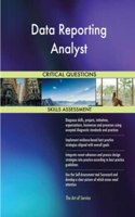 Data Reporting Analyst Critical Questions Skills Assessment