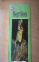 Reptiles: (First Facts S.)