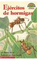 Ejercitos de Hormigas