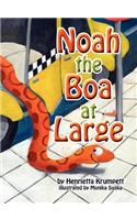 Noah the Boa at Large