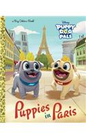 Puppies in Paris (Disney Junior: Puppy Dog Pals)