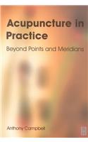 Acupuncture in Practice: Beyond Points and Meridians