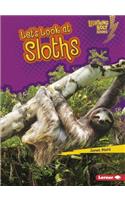 Let's Look at Sloths
