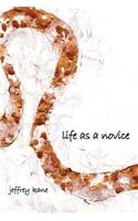Life as a novice