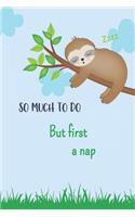 So Much to do But First a Nap