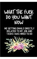What The Fuck Do You Want Now Me Getting Emails Directly Related To My Jobs and Tasks I Was Hired To Do