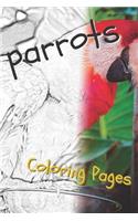 Parrot Coloring Pages: Beautiful Parrots Drawings for Kids and for Adults Relaxation