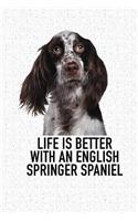 Life Is Better with an English Springer Spaniel